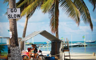 Why Use a Lawyer When Buying Land in Belize
